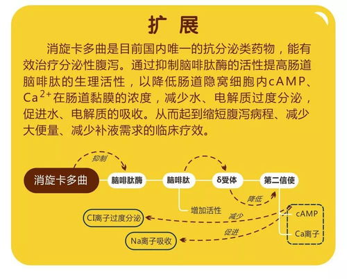 痛点解读:600图库免费资料百度同时新澳门免费谜语20期百度谨防虚假信息风险-全面释义、专家解析解释与落实